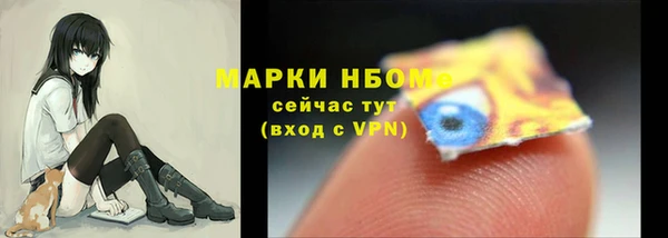2c-b Пестово