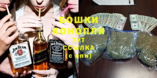 2c-b Пестово