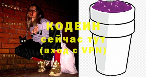 2c-b Пестово