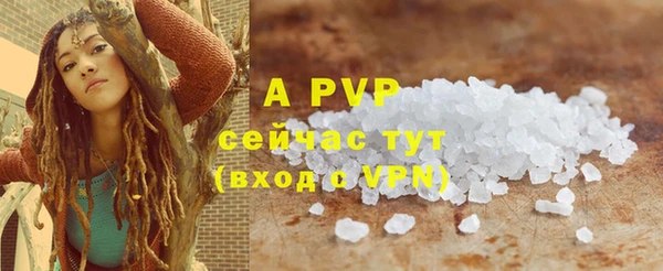 2c-b Пестово