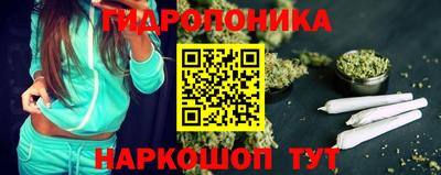 шишки Апшеронск