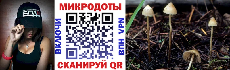 darknet как зайти  закладка  Кострома  Псилоцибиновые грибы Cubensis 