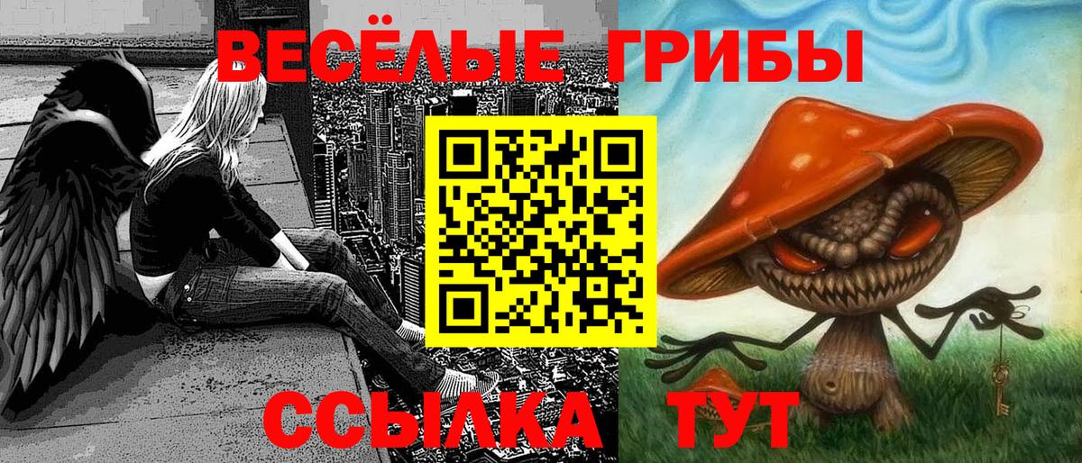 Галлюциногенные грибы ЛСД  Вход с VPN  Кострома 