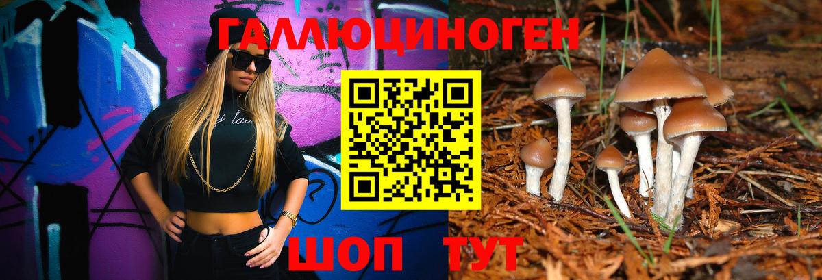 Галлюциногенные грибы мицелий Кострома